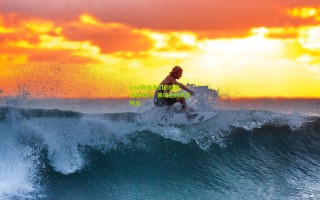 ayx|教练员们的经典搞笑瞬间，赛场边的欢乐时光