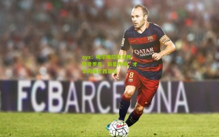 ayx：帕尔梅拉斯主帅赞誉罗克，新星齐辉，才华闪耀巴西足坛